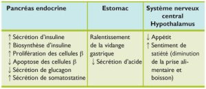Mécanisme d'action du GLP-1